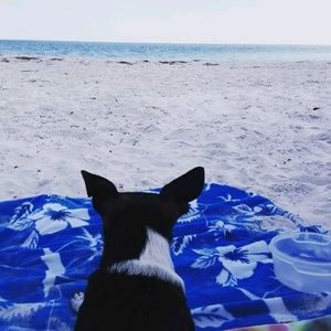 Meet your Posher, Tim